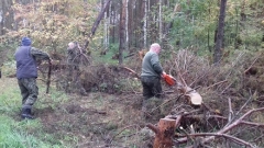 Czyszczenie pasów zaporowych