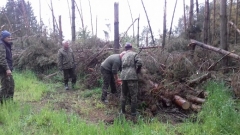 Czyszczenie pasów zaporowych