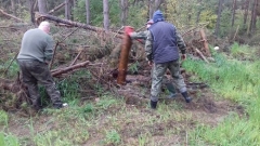 Czyszczenie pasów zaporowych