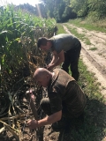 Naprawa elektrycznego pastucha