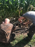 Naprawa elektrycznego pastucha
