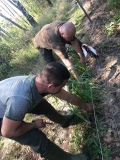 Naprawa elektrycznego pastucha
