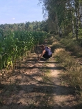 Naprawa elektrycznego pastucha