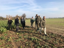 Obsiewanie pasów zaporowych