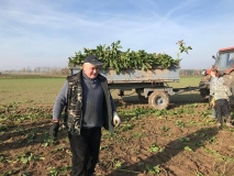 Obsiewanie pasów zaporowych