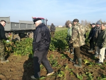 Obsiewanie pasów zaporowych