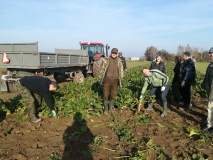 Obsiewanie pasów zaporowych