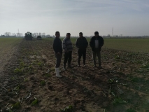 Obsiewanie pasów zaporowych