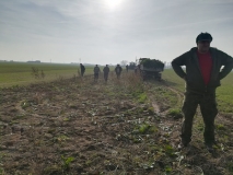Obsiewanie pasów zaporowych