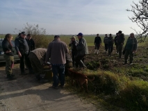 Obsiewanie pasów zaporowych