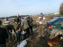 Obsiewanie pasów zaporowych