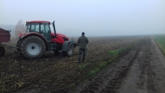 Demontaż elektrycznego pastucha