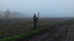 Demontaż elektrycznego pastucha