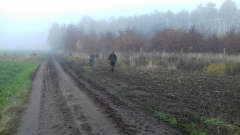 Demontaż elektrycznego pastucha