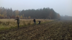 Demontaż elektrycznego pastucha