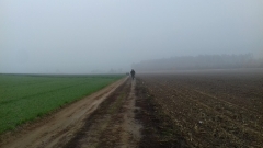 Demontaż elektrycznego pastucha