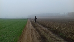 Demontaż elektrycznego pastucha