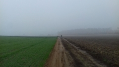 Demontaż elektrycznego pastucha