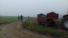 Demontaż elektrycznego pastucha