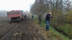 Demontaż elektrycznego pastucha