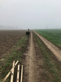 Demontaż elektrycznego pastucha