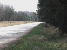 Sprzątanie lasu