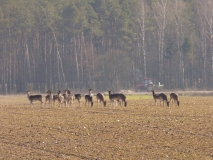 Foto: Paweł Poterski