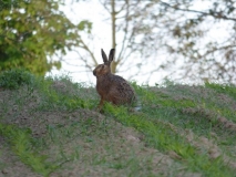Foto: Paweł Poterski