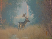 Foto: Paweł Poterski