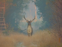 Foto: Paweł Poterski