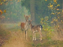 Foto: Paweł Poterski