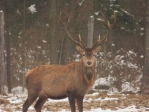 Foto: Paweł Poterski