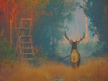 Foto: Paweł Poterski
