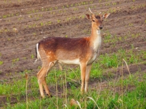 Foto: Paweł Poterski