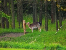 Foto: Paweł Poterski