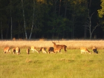 Foto: Paweł Poterski