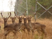 Foto: Paweł Poterski