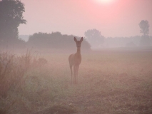 Foto: Paweł Poterski