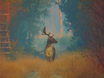 Foto: Paweł Poterski